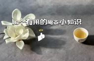 绿茶过期后会不会变成红茶？茶叶的10个小常识大揭秘