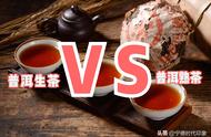 普洱茶的奥秘：茶类、功效、禁忌及泡制技巧