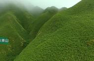 在抹茶山上喝一杯抹茶，凝视山峦苍翠，仿佛置身于抹茶的绿色世界中。