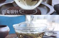 云南大白毫与福鼎白毫银针：茶叶品种的较量