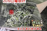 白茶新手入门必备：白毫银针，真正懂茶的人少之又少