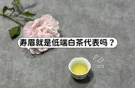 白毫银针与寿眉：白茶价格的差异之谜