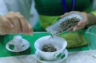 揭秘茉莉花茶的产地：全球60%以上的产量都来自这里！