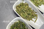 西湖龙井：茶叶中的珍品