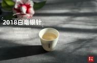 白毫银针保存小贴士：4个细节让你轻松收获好白茶，不再走弯路