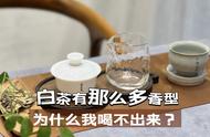 白茶和巧克力味，这是一种怎样的联系？深入了解白茶四大基本香型的魅力