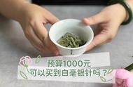 1000元内白茶选购：白毫银针与白牡丹哪个更好？