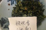 喝铁观音的你，这些茶叶知识你知道吗？