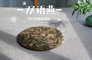 好白茶的选择之道：年份高、耐泡、无味之味，三个失败案例告诉你