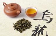 五色茶之惑：青茶为何又被尊称为乌龙茶？