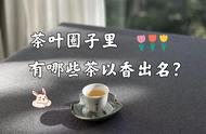 茶艺大师推荐：肉桂、白牡丹、茉莉花茶，哪款茶最值得品味？