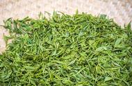 绿茶的故事：聆听龙井、碧螺春、峨眉山茶和抹茶