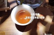 武夷岩茶小白必备：8个问题让你轻松了解！