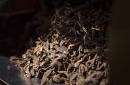 文圣茶说：品鉴「黑茶」六堡茶的独特韵味