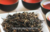 祁门红茶：中国传统的精髓，现代品质的典范