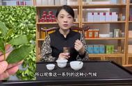 南崎铁观音的神秘魅力：茶友们为何趋之若鹜？