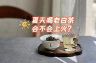 夏天喝老白茶，是否会对身体产生不良影响？