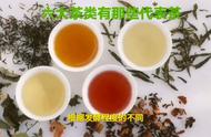 六大茶类一览：这些茶叶是它们的代表#茶艺课堂