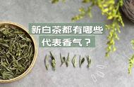 新白茶的三大香型深度剖析，看完再尝，你敢接受挑战吗？