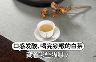 白茶口感酸涩，喝完后喉咙不舒服，听村姑陈的话，有这些状况的白茶别再喝了