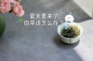 夏季白茶储存小贴士：4个细节，南北皆可参考