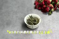 白茶与普洱的比较：新白茶是否更像生普，老白茶是否更像熟普？