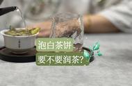 白茶饼冲泡小窍门：头道茶前润茶的注意事项