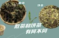 寿眉白茶新手教程：散茶与饼茶的选购秘籍