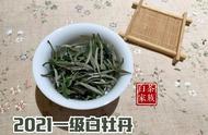 白茶散茶与饼茶：哪个更适合新手入门？