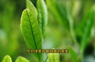 六安瓜片：绿茶中的绿色精灵