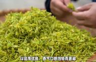 黄山毛峰：绿茶中的绿色精灵