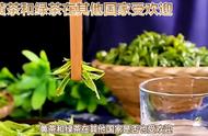 黄茶和绿茶：中国茶叶的国际影响力