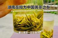 黄茶的种类，你掌握多少？