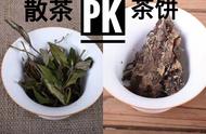 茶饼和散茶，哪个更健康？对比实验揭晓答案！