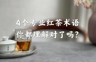 红茶术语解读：金圈、冷后浑、红叶红汤，让你的茶道之路更加顺畅