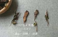 白茶压饼的实用价值：好茶不压饼？茶叶保存与品鉴