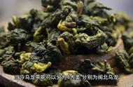 青茶家族：大红袍是否位列其中？