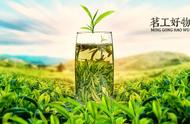 绿茶：绿衣舞者的鲜爽风采，六大茶类探索