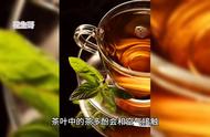 绿茶的科学：你真的了解吗？