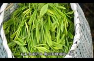 黄山毛峰茶叶：茶知识的魅力