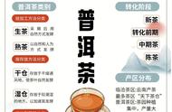 普洱茶完全手册：让你轻松掌握茶艺