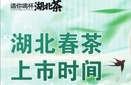 2024湖北春茶上市时间表揭秘，你期待的茶已在路上