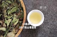 泡茶新手必看：4种简单实用的白茶泡制技巧