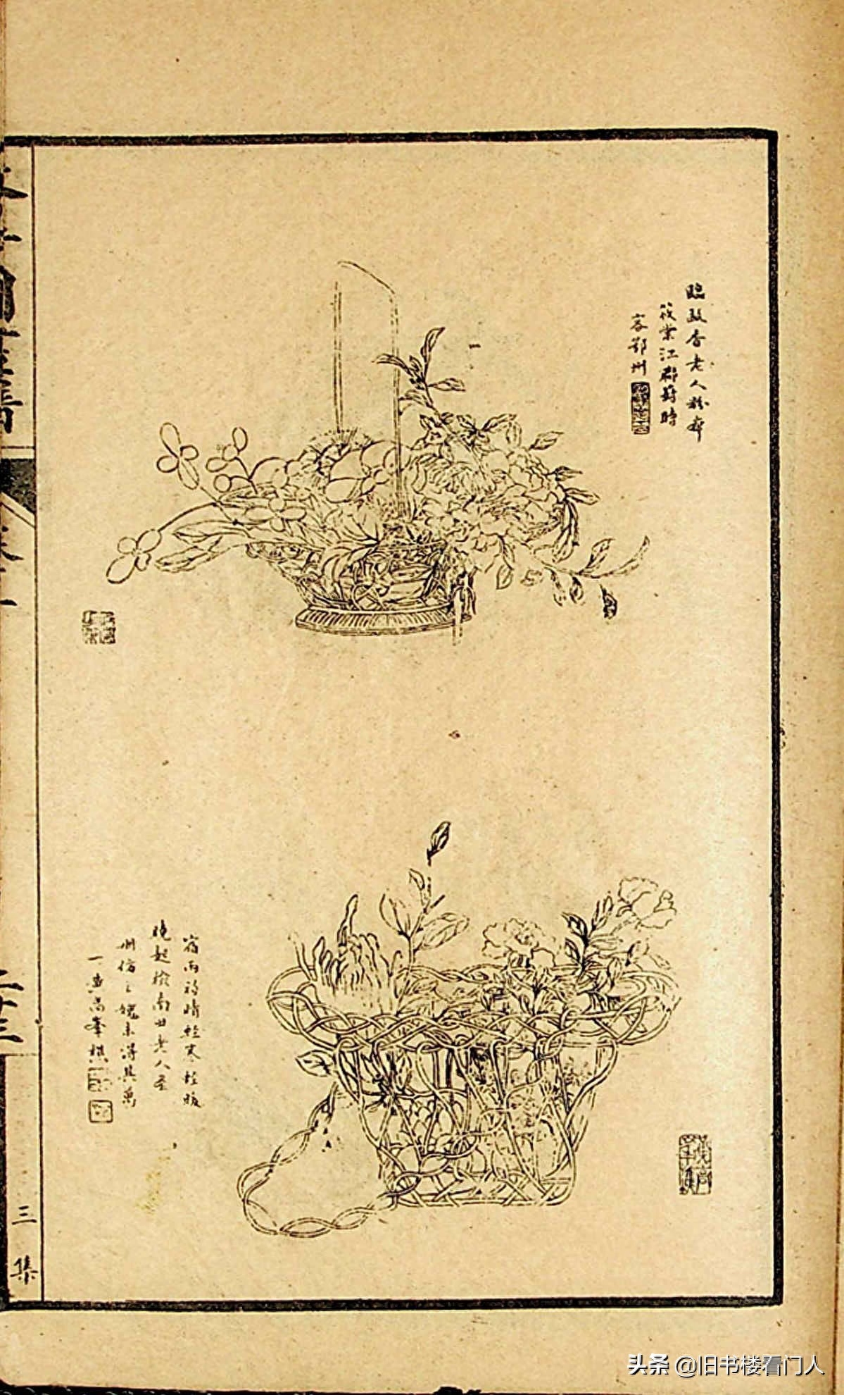 艺术类学画必修之书－《芥子园画谱·草虫花卉谱》