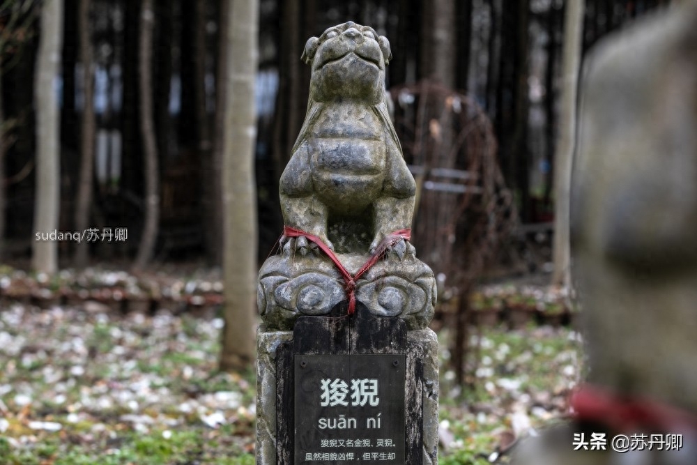 龙生九子各不相同，其形象随处可见，但包括貔貅和麒麟吗？