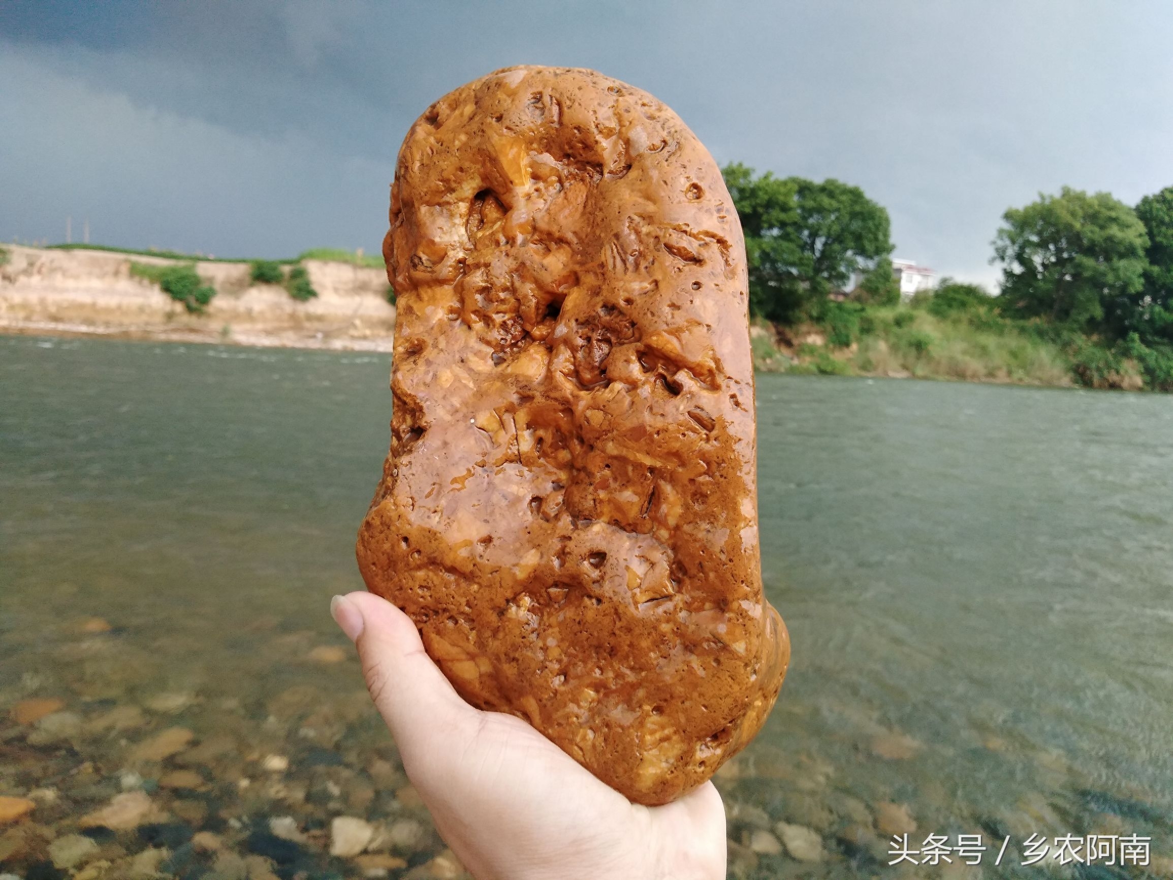 去茶陵的洣江河里游泳，没想到河里有很多奇石，随手捡了几个，你看有黄蜡石，金纹石，乌金石，还满好看的